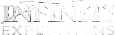 логотип инфинити